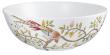 Salad bowl large white background - Raynaud